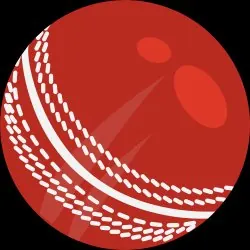 Cricket ball